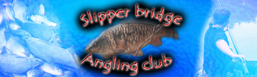 Slipper Bridge Header